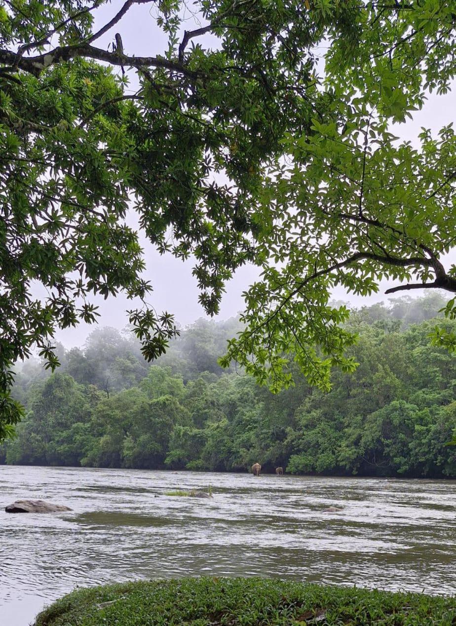 Falcon Riverview Resorts Kuttampuzha Eksteriør bilde