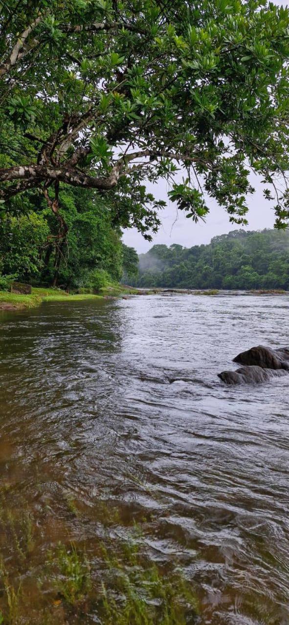 Falcon Riverview Resorts Kuttampuzha Eksteriør bilde